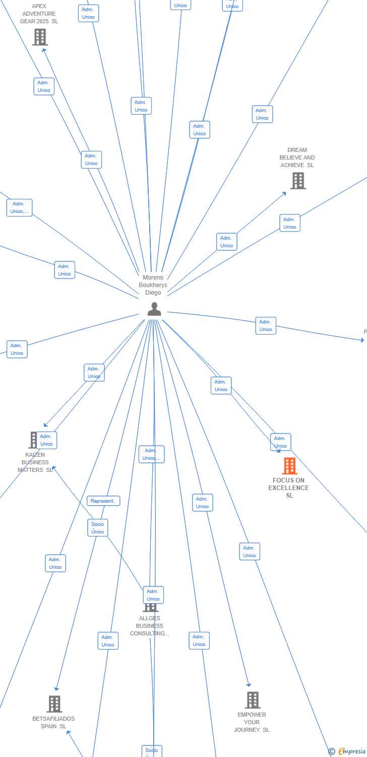 Vinculaciones societarias de FOCUS ON EXCELLENCE SL