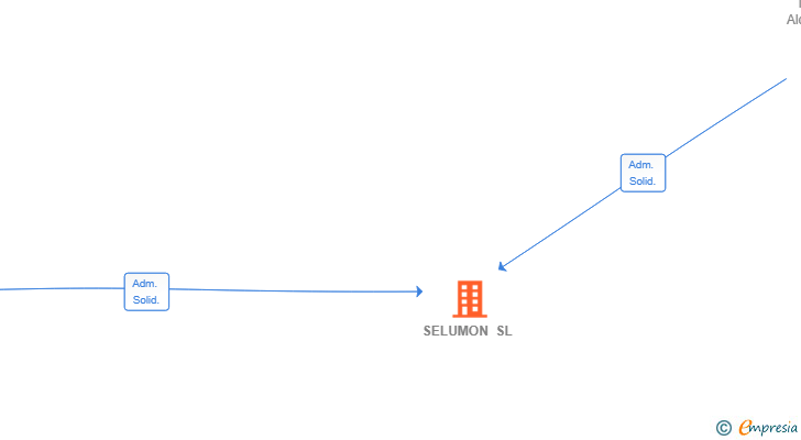 Vinculaciones societarias de SELUMON SL