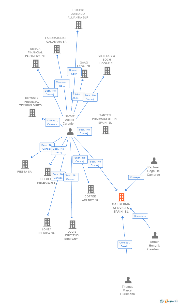 Vinculaciones societarias de GALDERMA SERVICES SPAIN SL