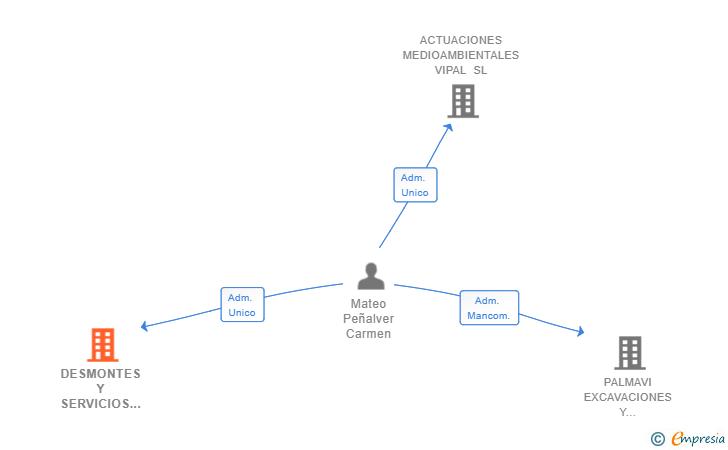 Vinculaciones societarias de DESMONTES Y SERVICIOS P.V. SL