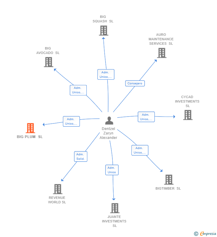 Vinculaciones societarias de BIG PLUM SL