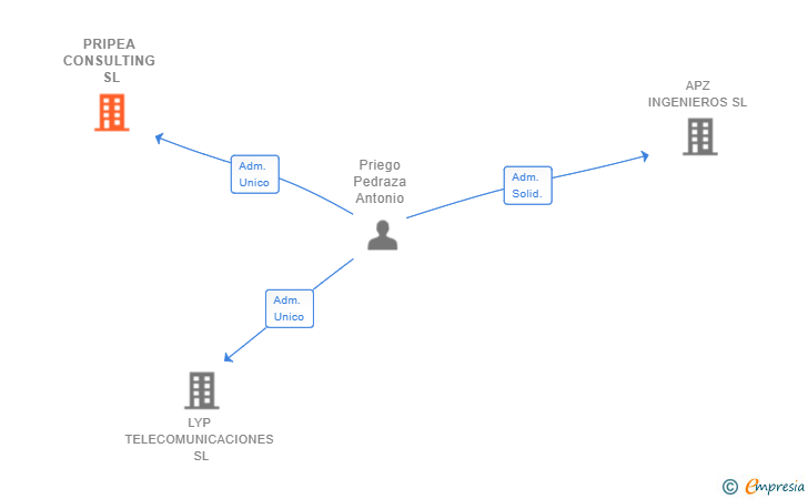 Vinculaciones societarias de PRIPEA CONSULTING SL