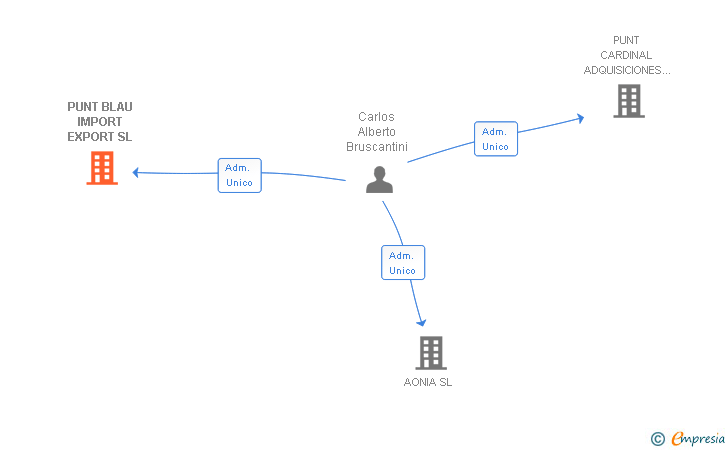 Vinculaciones societarias de PUNT BLAU IMPORT EXPORT SL