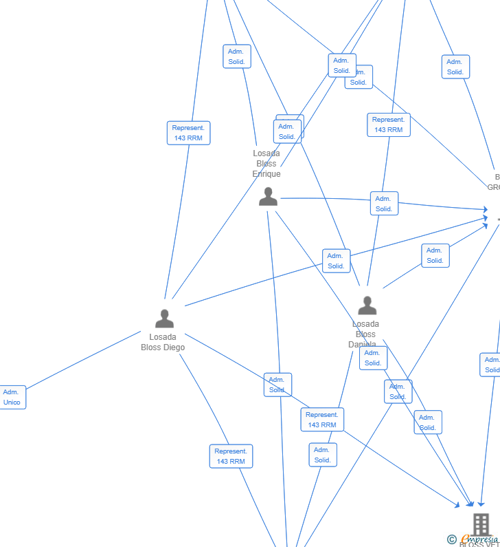 Vinculaciones societarias de BLOXX DIGITAL INNOVATION SL