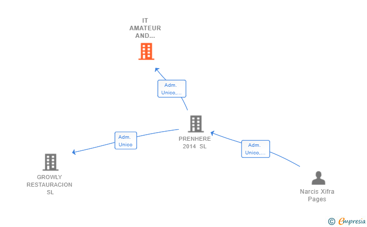 Vinculaciones societarias de IT AMATEUR AND PROFESIONAL SL