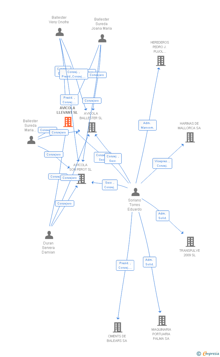 Vinculaciones societarias de AVICOLA LLEVANT SL