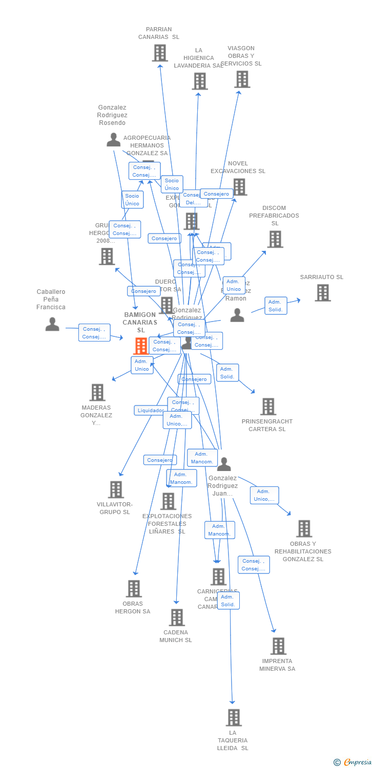 Vinculaciones societarias de BAMIGON CANARIAS SL