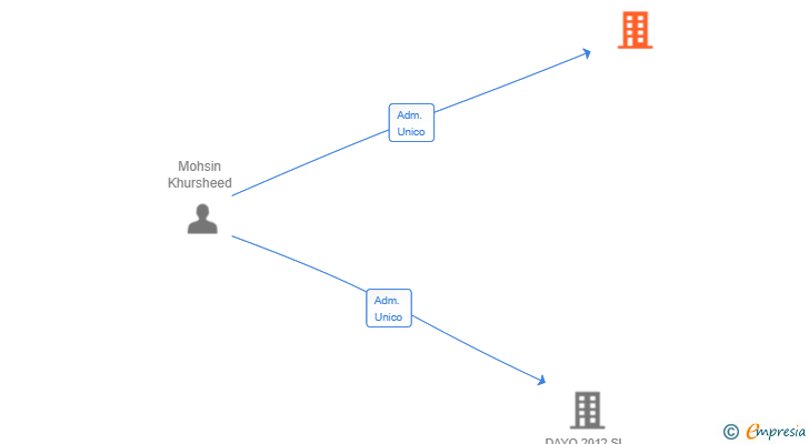 Vinculaciones societarias de AL RAZIQ ENTERPRISE SL