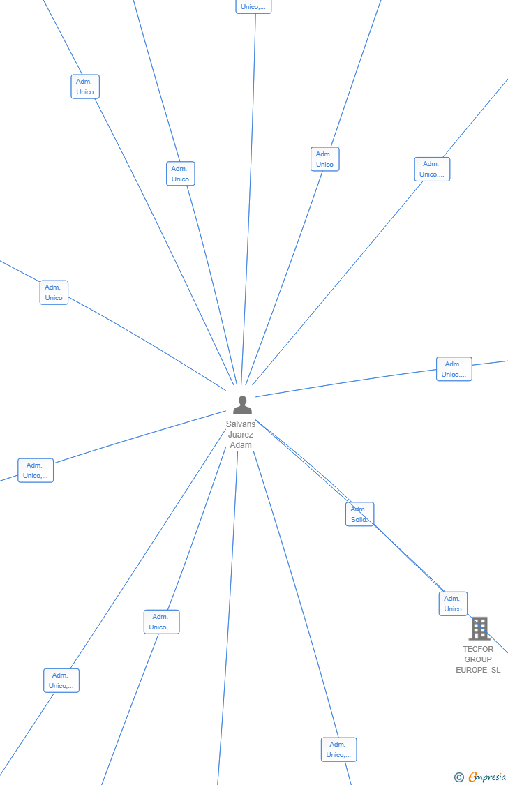 Vinculaciones societarias de ENENVIA SERVEIS SL