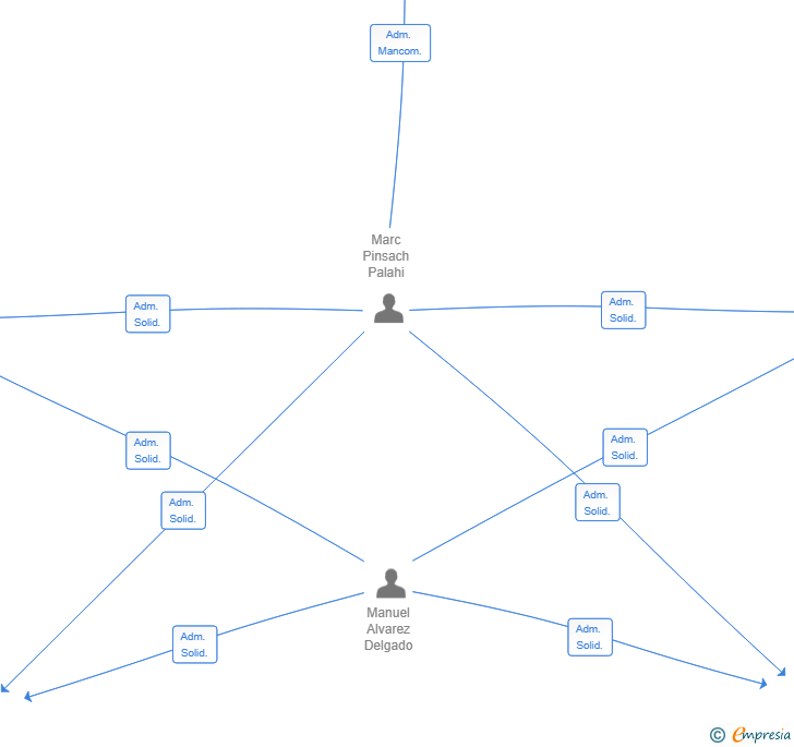 Vinculaciones societarias de IRENE CONSULTING SL