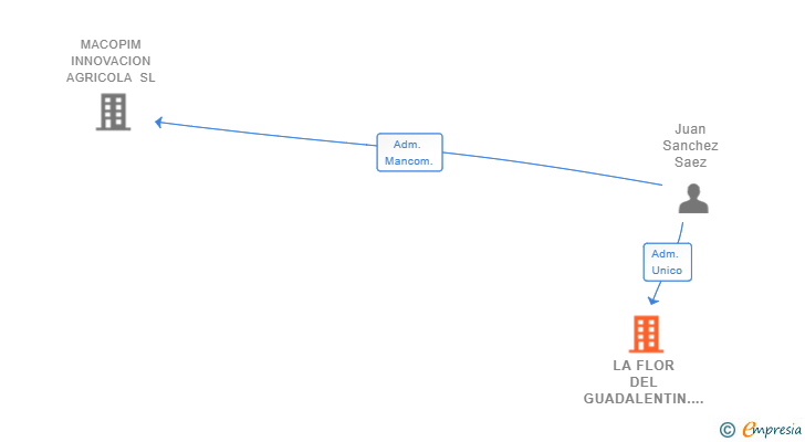 Vinculaciones societarias de LA FLOR DEL GUADALENTIN. SL