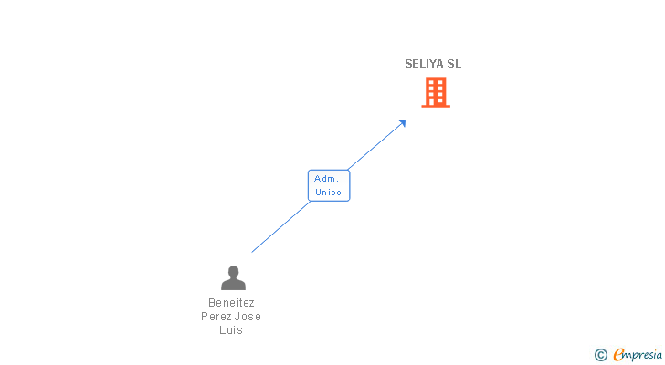 Vinculaciones societarias de SELIYA SL