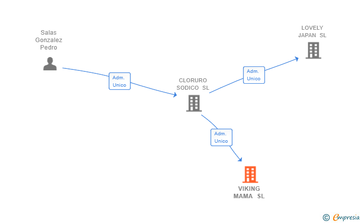 Vinculaciones societarias de VIKING MAMA SL