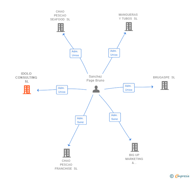 Vinculaciones societarias de IDOLO CONSULTING SL