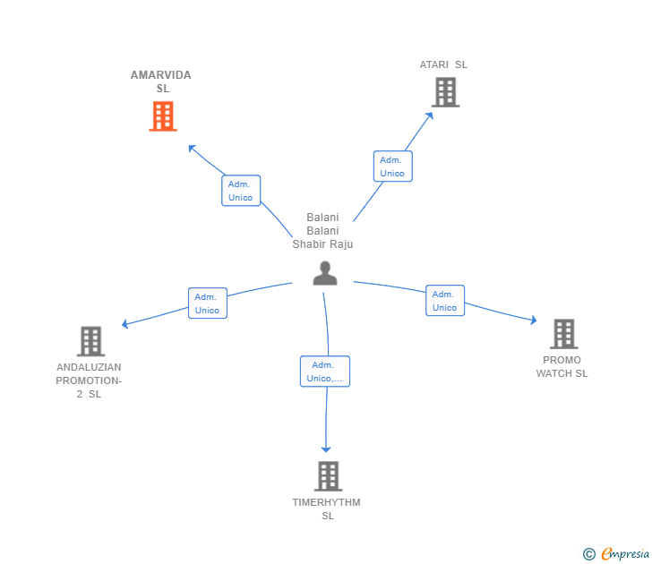 Vinculaciones societarias de AMARVIDA SL