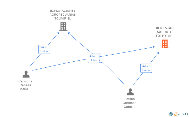 Vinculaciones societarias de BIENESTAR SALUD Y EXITO SL
