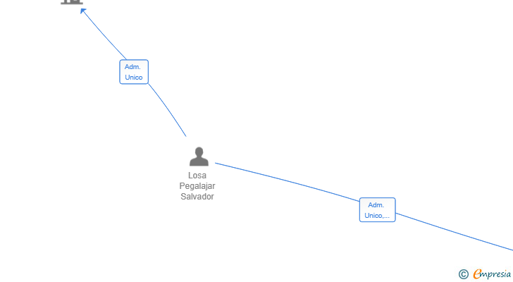 Vinculaciones societarias de CONJUNTO DE ACTIVIDADES EMPRESARIALES SL