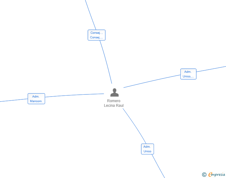 Vinculaciones societarias de SDL SOLUTIONS SL