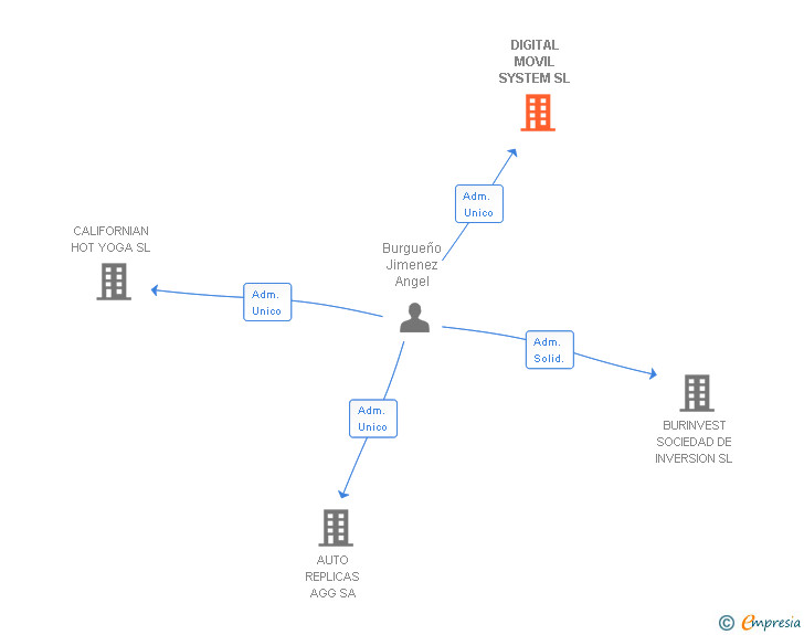 Vinculaciones societarias de DIGITAL MOVIL SYSTEM SL