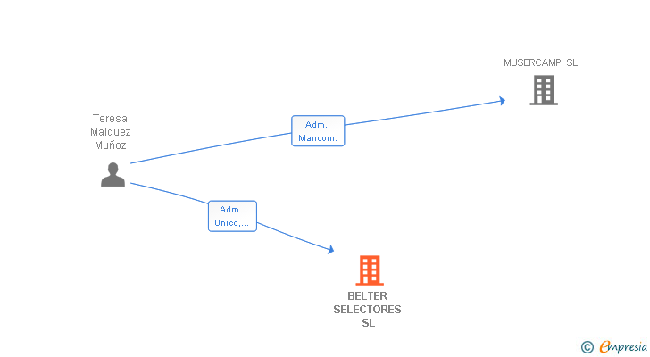 Vinculaciones societarias de BELTER SELECTORES SL