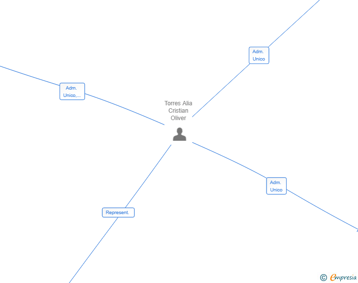 Vinculaciones societarias de SILVERLIGHT SUBASTAS SL