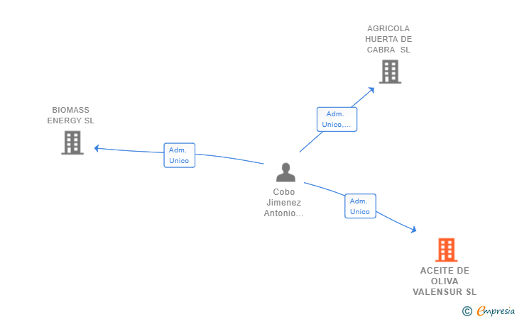 Vinculaciones societarias de ACEITE DE OLIVA VALENSUR SL