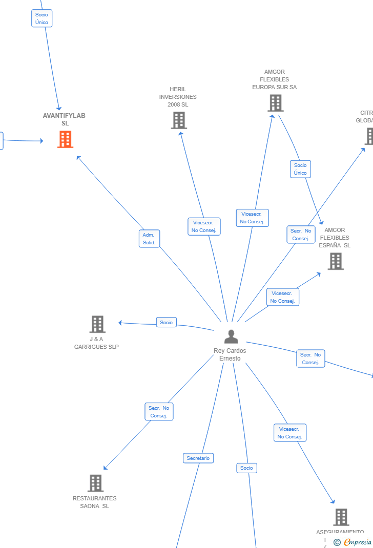 Vinculaciones societarias de AVANTIFYLAB SL (EXTINGUIDA)