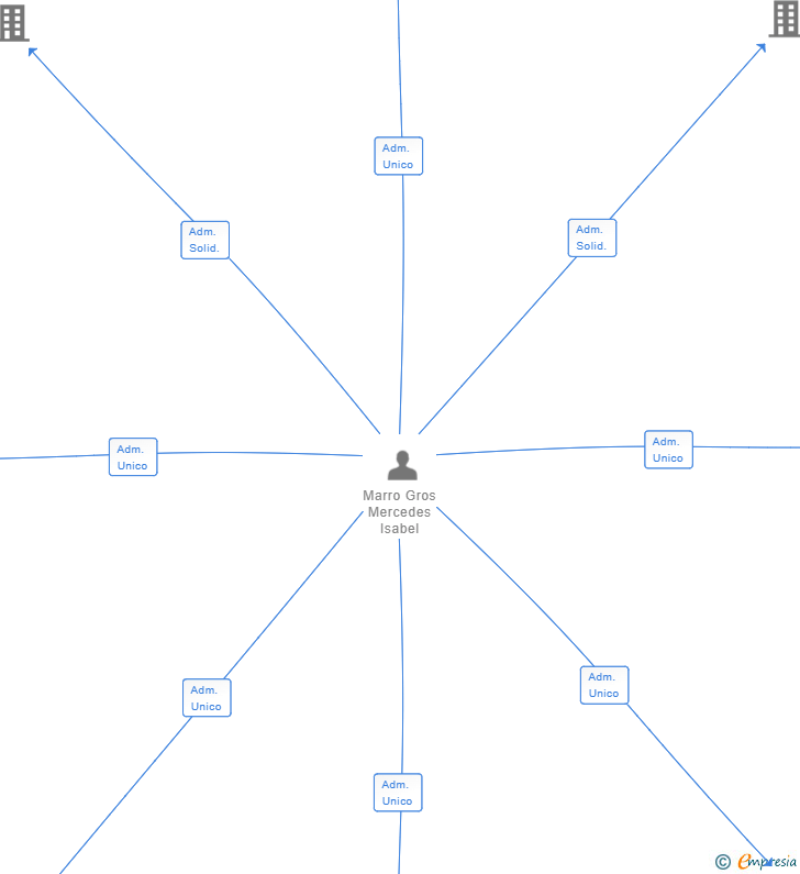 Vinculaciones societarias de MSR TMV SL