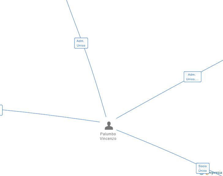 Vinculaciones societarias de TECNOBUSINESS TRANDING SL (EXTINGUIDA)