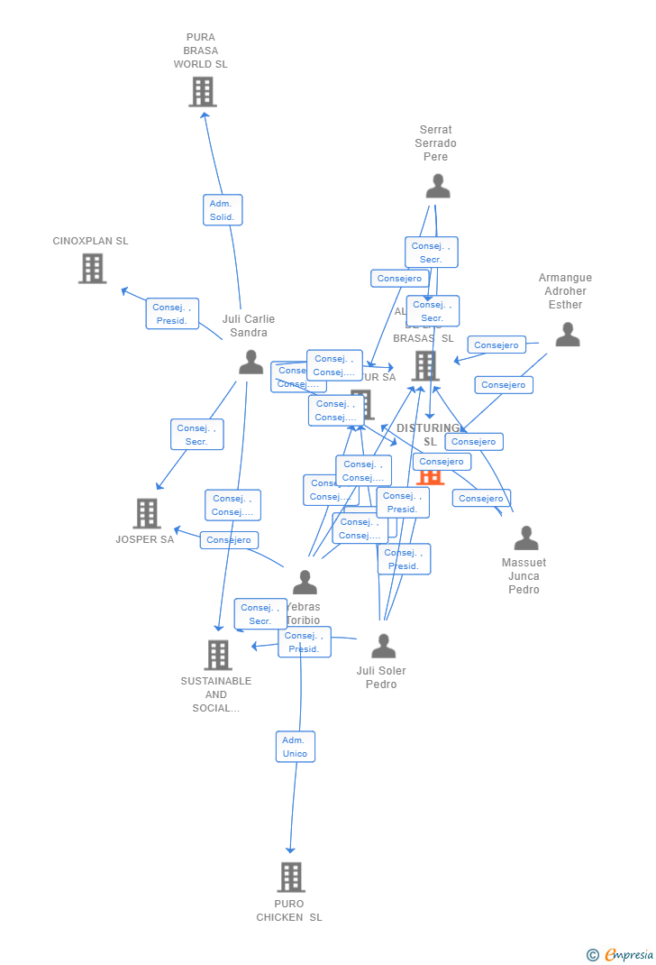 Vinculaciones societarias de DISTURING SL