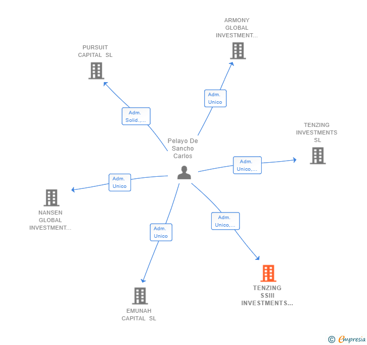 Vinculaciones societarias de TENZING SSIII INVESTMENTS SL