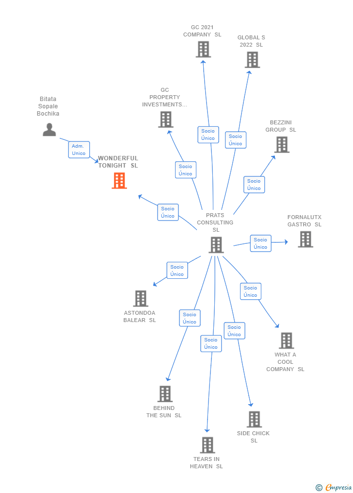 Vinculaciones societarias de WONDERFUL TONIGHT SL