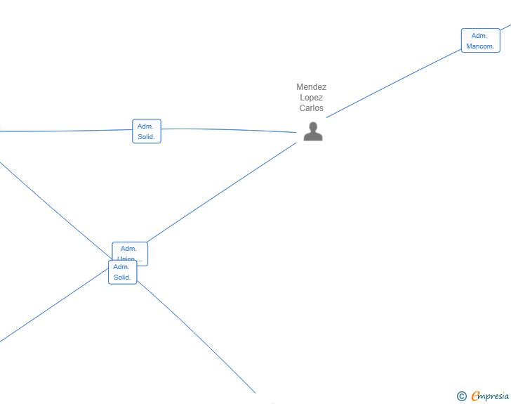 Vinculaciones societarias de WAVELOOKER SL