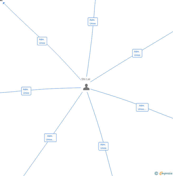 Vinculaciones societarias de MEDIMAVIX SL