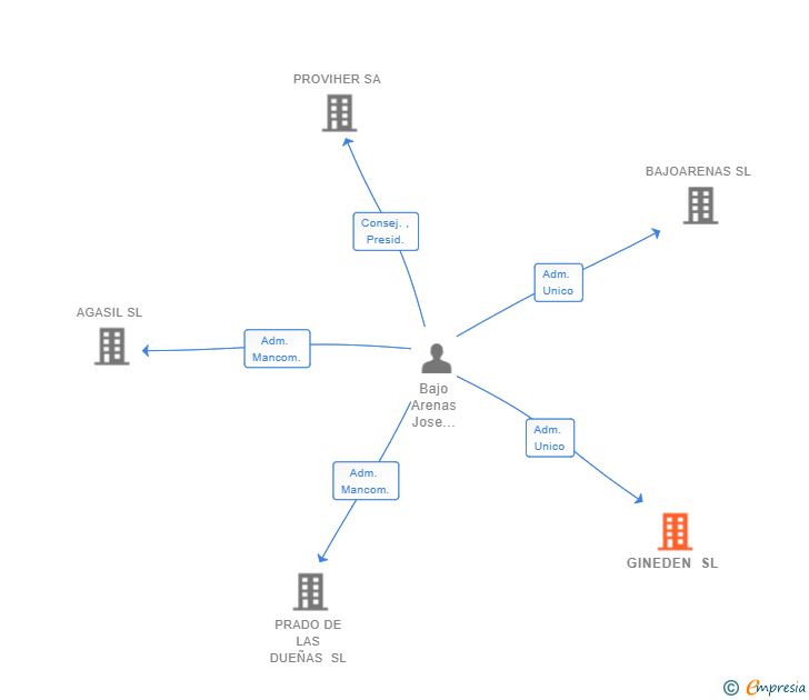Vinculaciones societarias de GINEDEN SL
