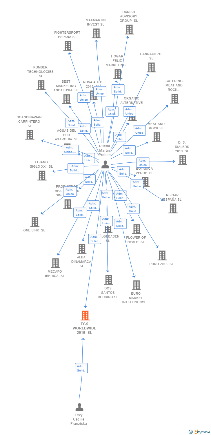 Vinculaciones societarias de TGS WORLDWIDE 2019 SL