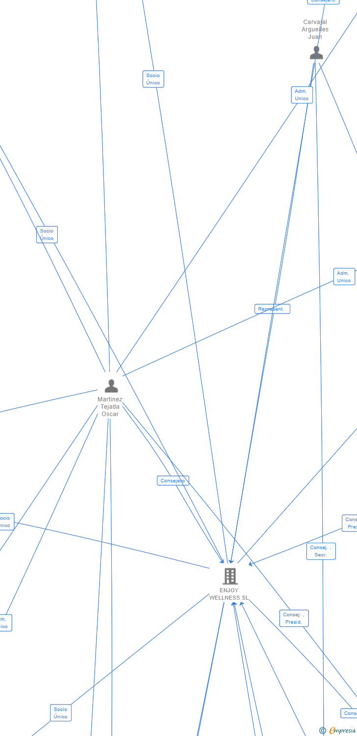 Vinculaciones societarias de ENJOY WELLNESS INSTALACION SL