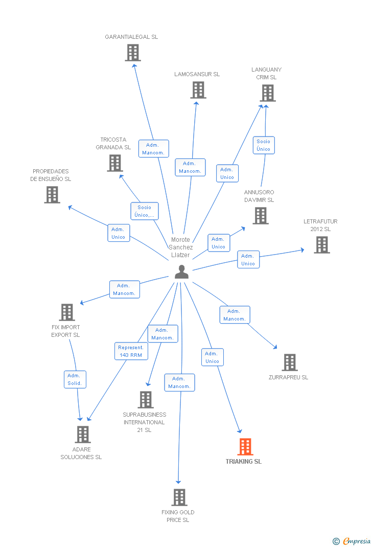 Vinculaciones societarias de TRIAKING SL