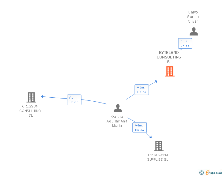 Vinculaciones societarias de BYTELAND CONSULTING SL