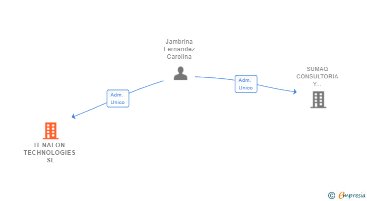 Vinculaciones societarias de IT NALON TECHNOLOGIES SL