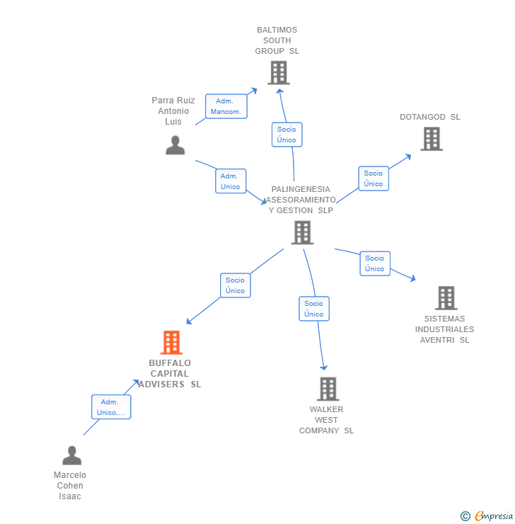 Vinculaciones societarias de BUFFALO CAPITAL ADVISERS SL