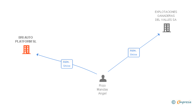 Vinculaciones societarias de BRI AUTO PLATFORM SL