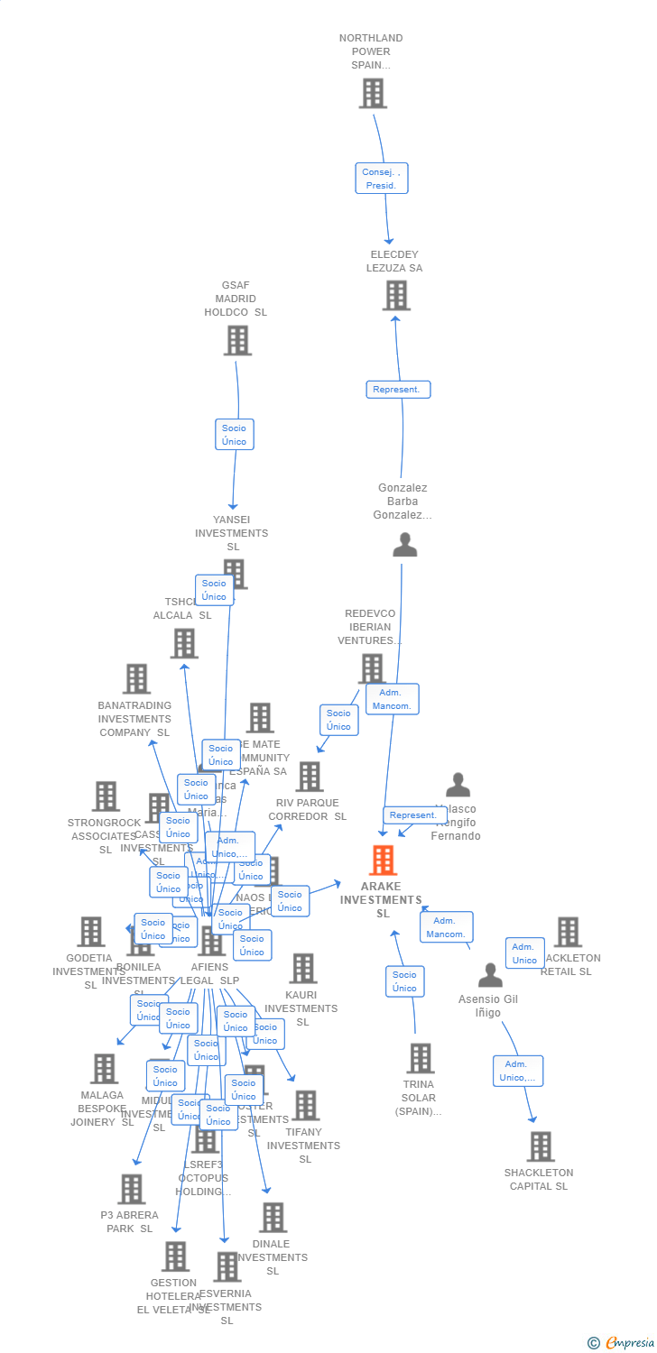 Vinculaciones societarias de ARAKE INVESTMENTS SL