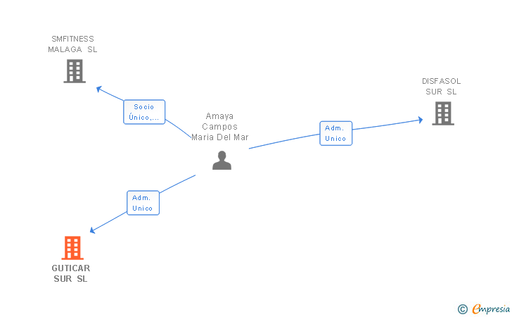 Vinculaciones societarias de GUTICAR SUR SL