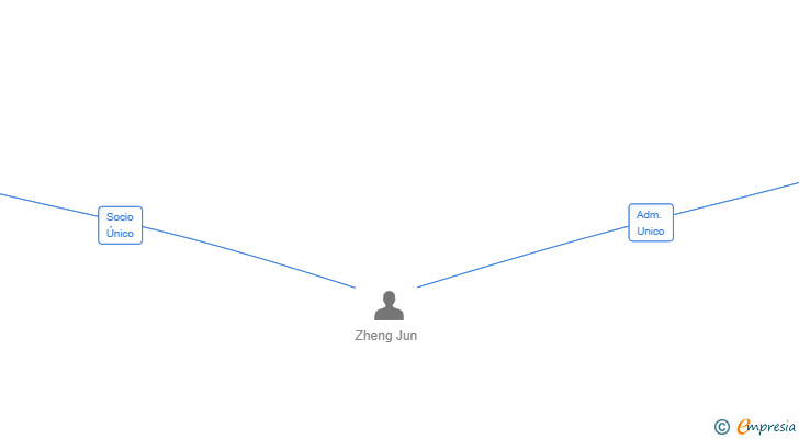 Vinculaciones societarias de DAMO XIJING SL