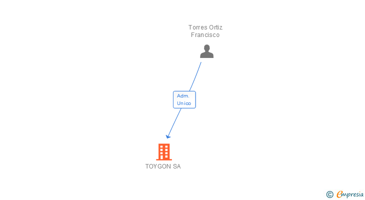 Vinculaciones societarias de TOYGON SA