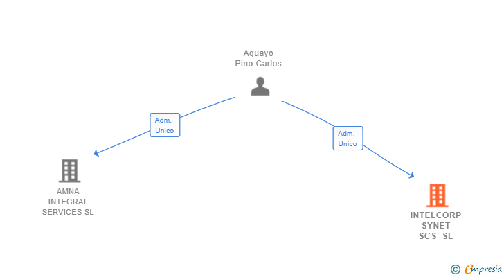 Vinculaciones societarias de INTELCORP SYNET SCS SL