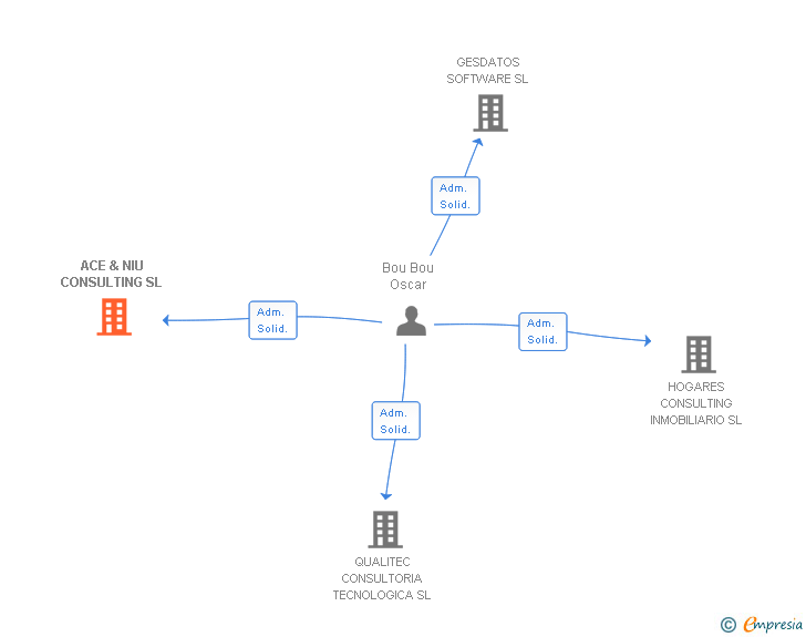 Vinculaciones societarias de ACE & NIU CONSULTING SL