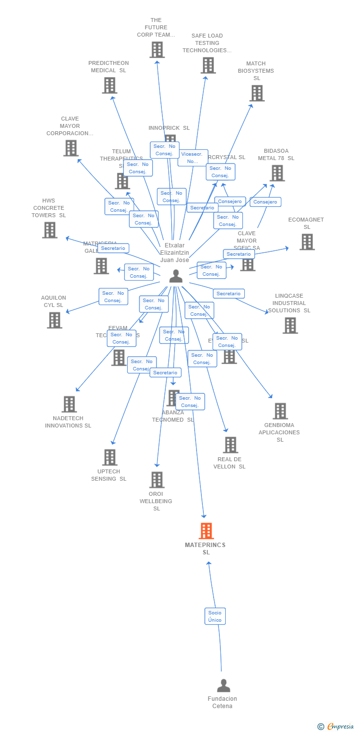 Vinculaciones societarias de MATEPRINCS SL