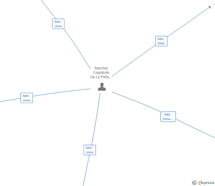 Vinculaciones societarias de MANTENIMIENTO Y SERVICIOS PLINAN SL
